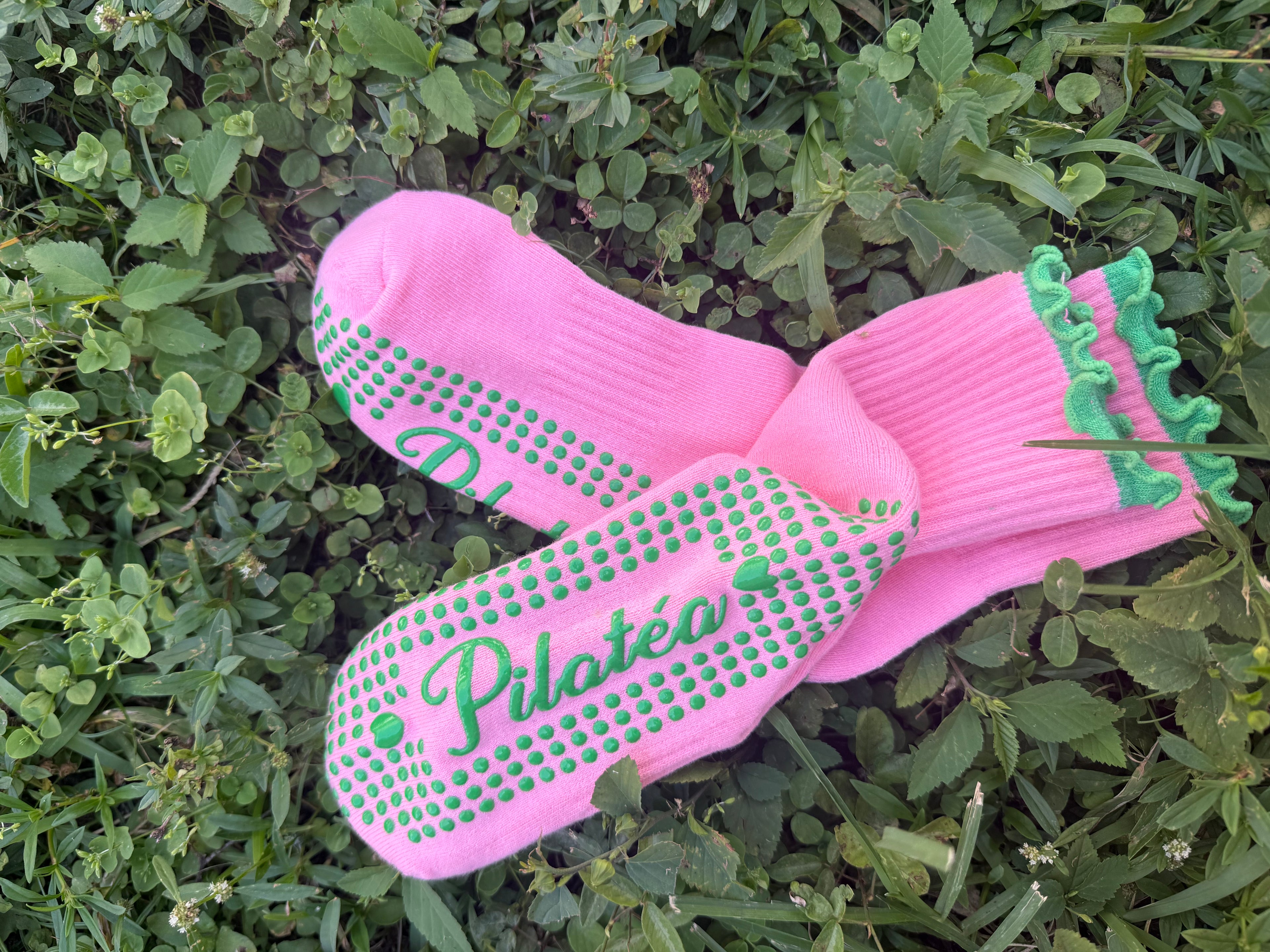 Pilatea